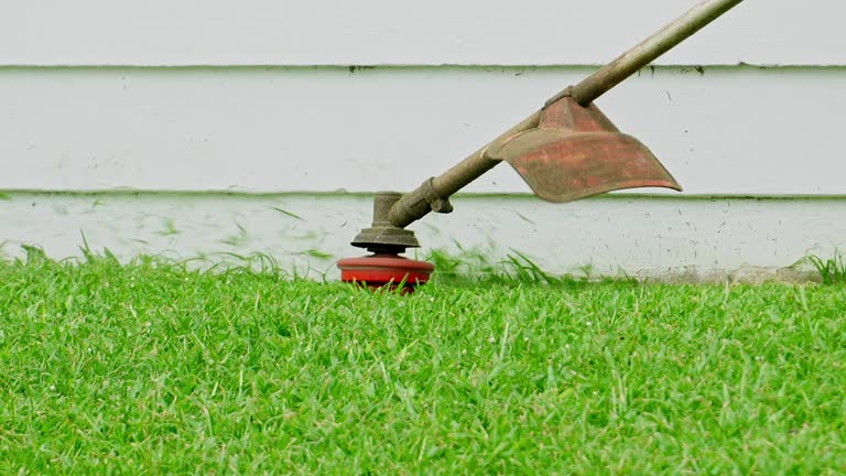 Best Tree Fertilization  in Orwigsburg, PA